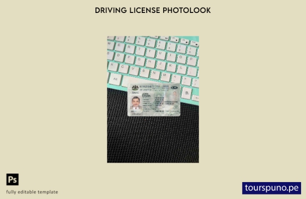 listo para imprimir plantilla FRONTAL de aspecto fotográfico del permiso de c 35